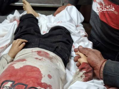 photo_2026-04-14_18-16-08