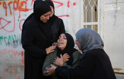 fe375dd6-519a-4bed-86b4-c709dc059a2e