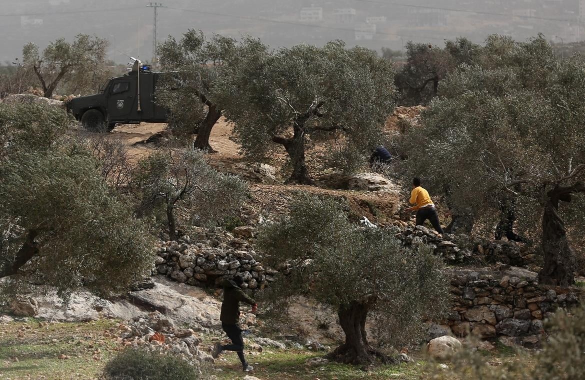 WhatsApp Image 2022-02-04 at 4.51.20 PM.jpeg