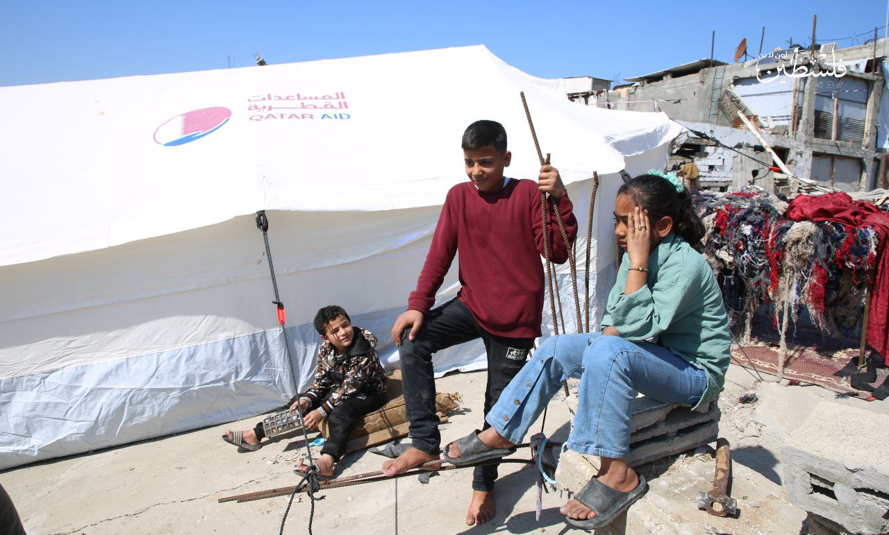 photo_2025-03-14_18-35-25 (3).jpg