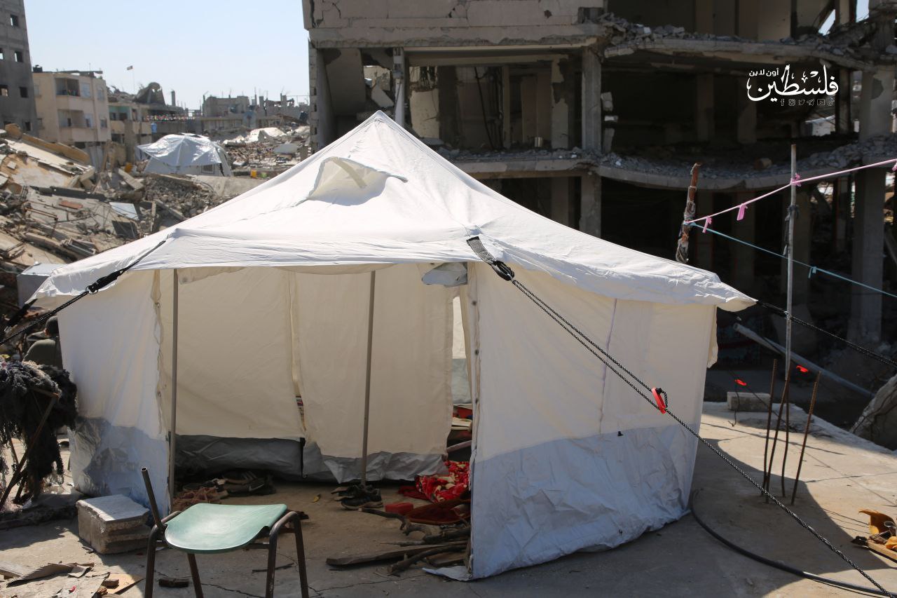 photo_2025-03-14_18-35-25 (2).jpg