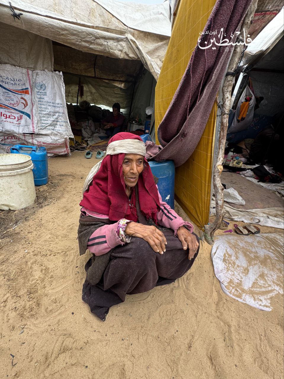 photo_2025-04-16_18-18-34 (2).jpg