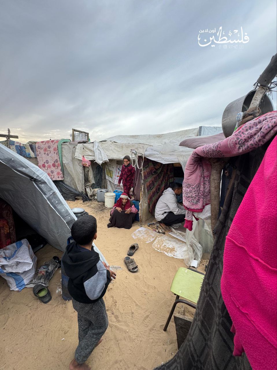 photo_2025-04-16_18-18-33 (4).jpg