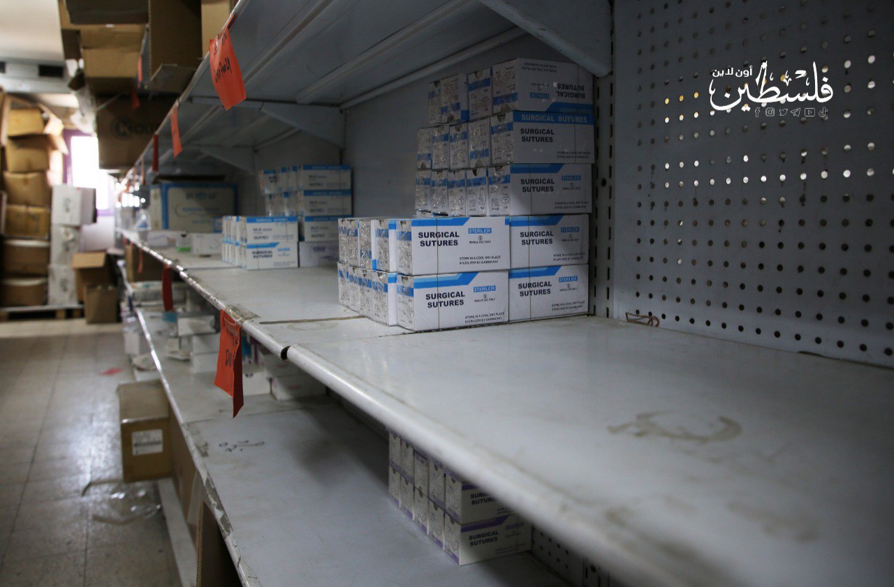 photo_2025-04-16_06-05-40 (6).jpg