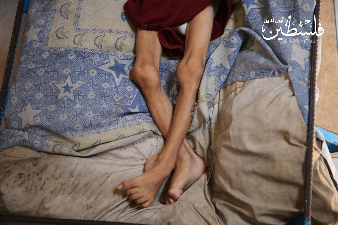 photo_2025-08-11_20-12-20 (2).jpg