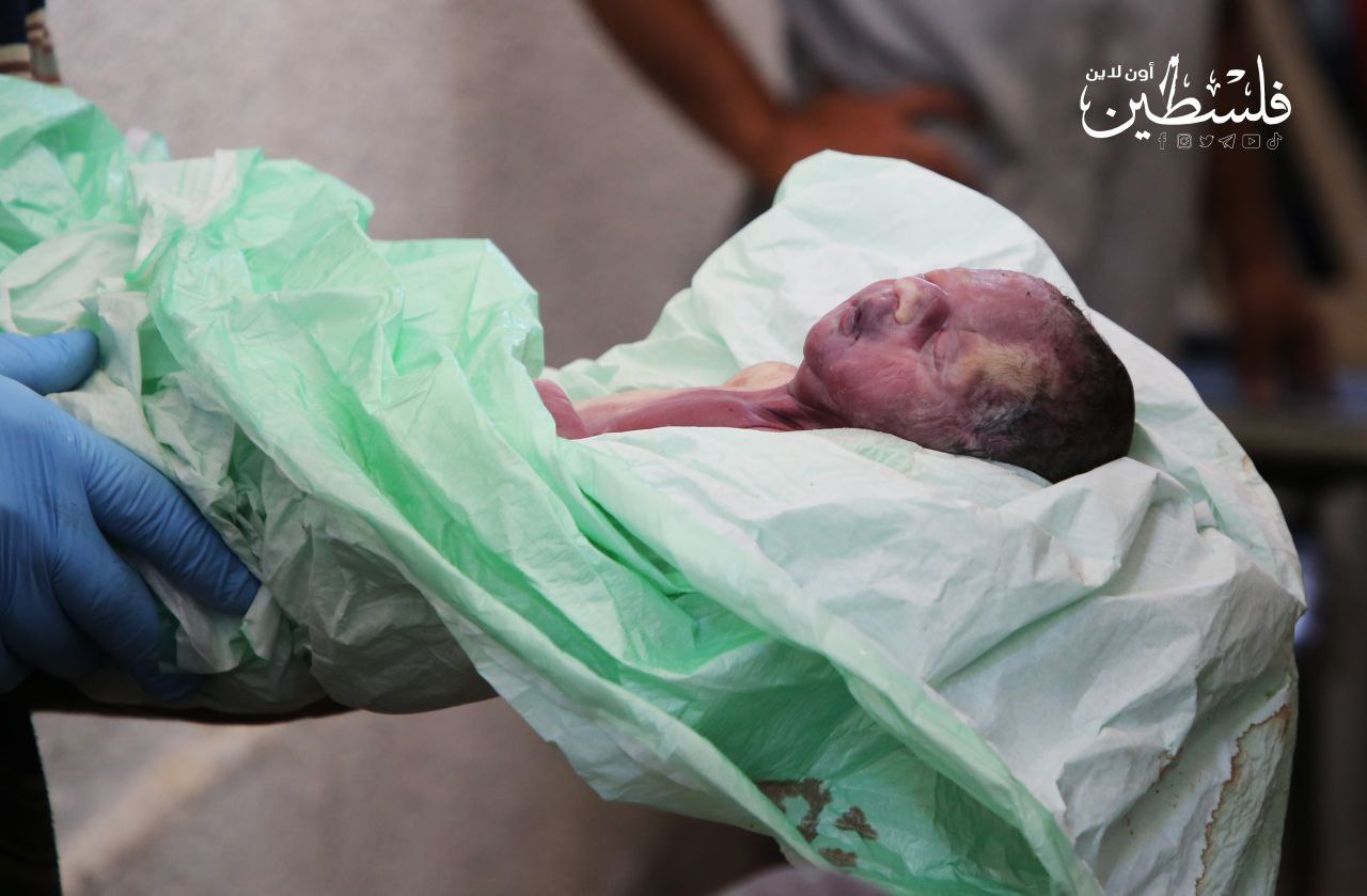 photo_2025-09-01_10-20-43 (3).jpg