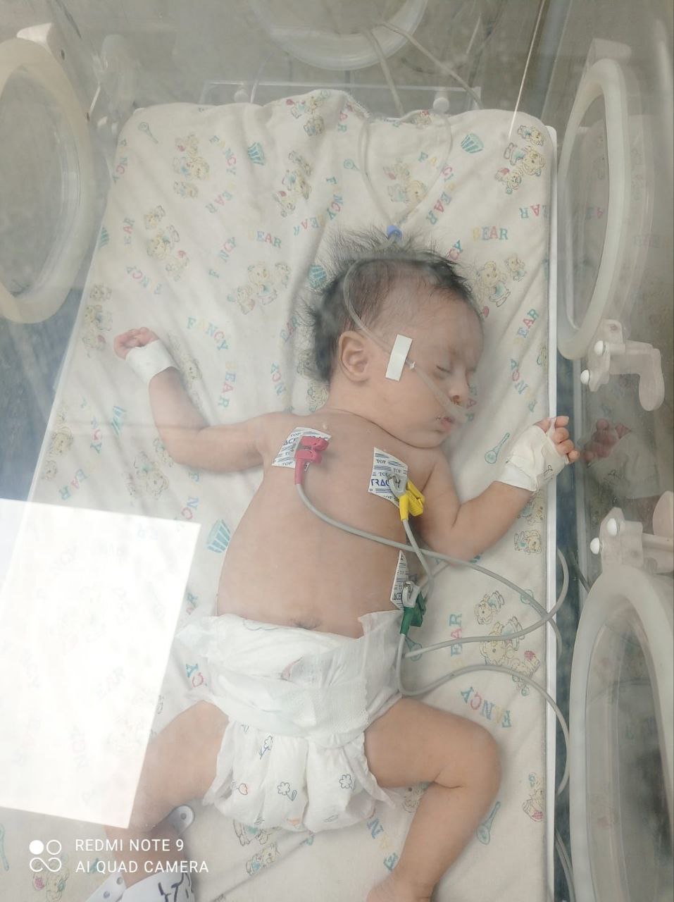 photo_2025-10-06_18-02-10 (3).jpg