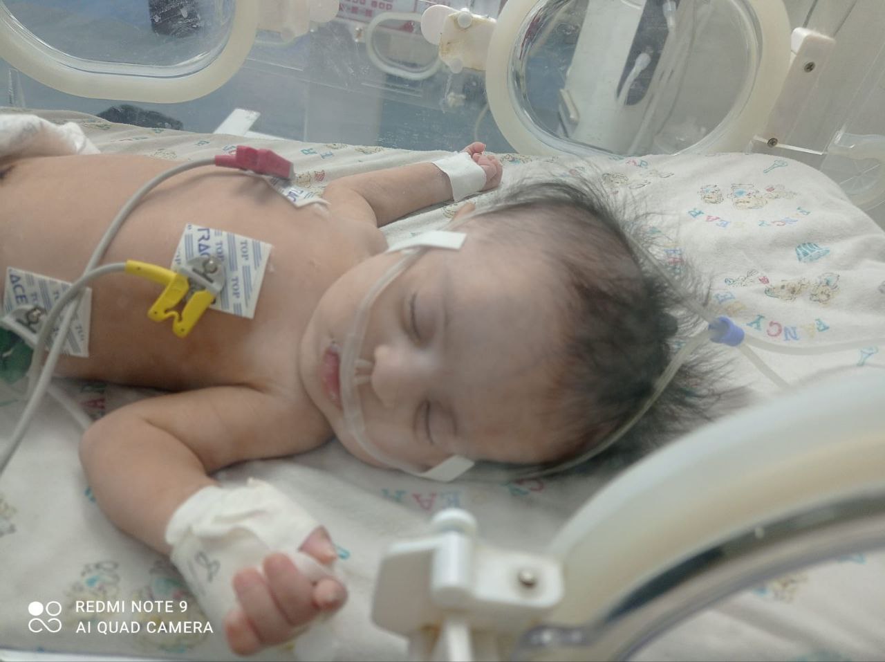 photo_2025-10-06_18-02-10 (2).jpg