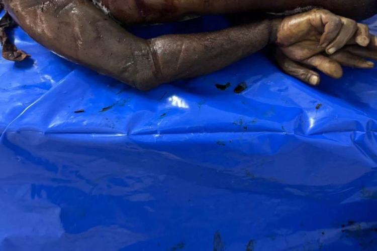 جثامين سحقت تحت الجنازير... الأورومتوسطي يوثق فظائع مروعة ارتكبها الاحتلال بغزة