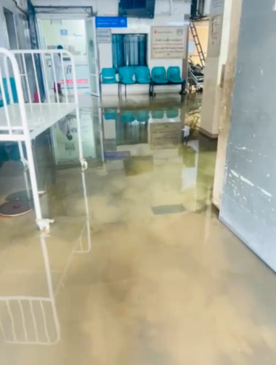 photo_2025-11-16_17-06-41 (2).jpg