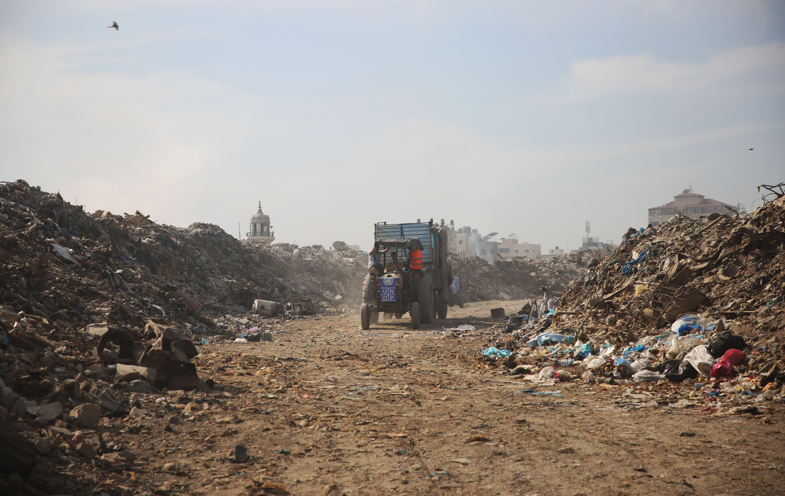 74117c23-1c6a-49ce-bf19-06e77daff393 (1).jpg