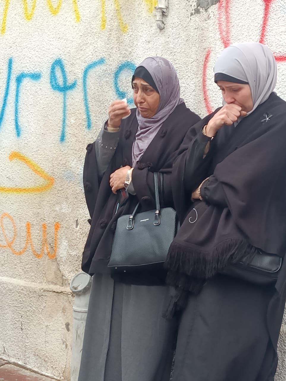 photo_2026-01-14_16-08-23 (2).jpg