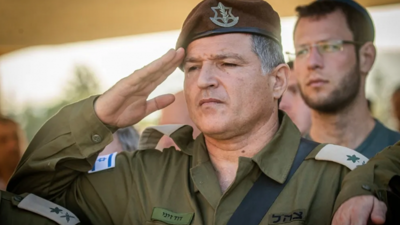 ديفيد زيني.png