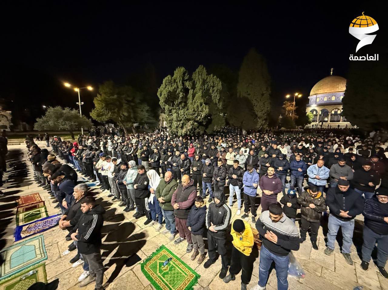 photo_2026-02-22_20-43-33 (3).jpg