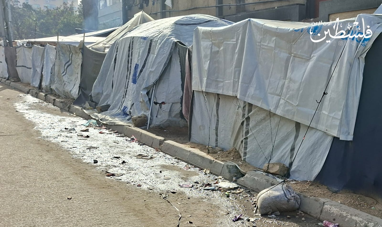 1da48a63-f794-4b06-905a-1e4f1f66e2a7 (1).jpg