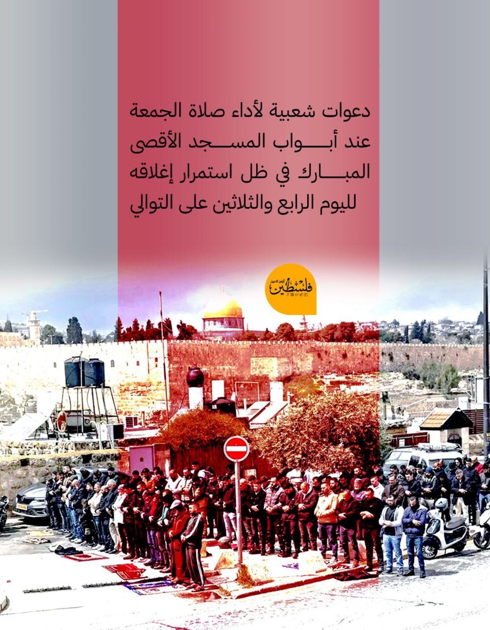 5940430114359282939 (1).jpg