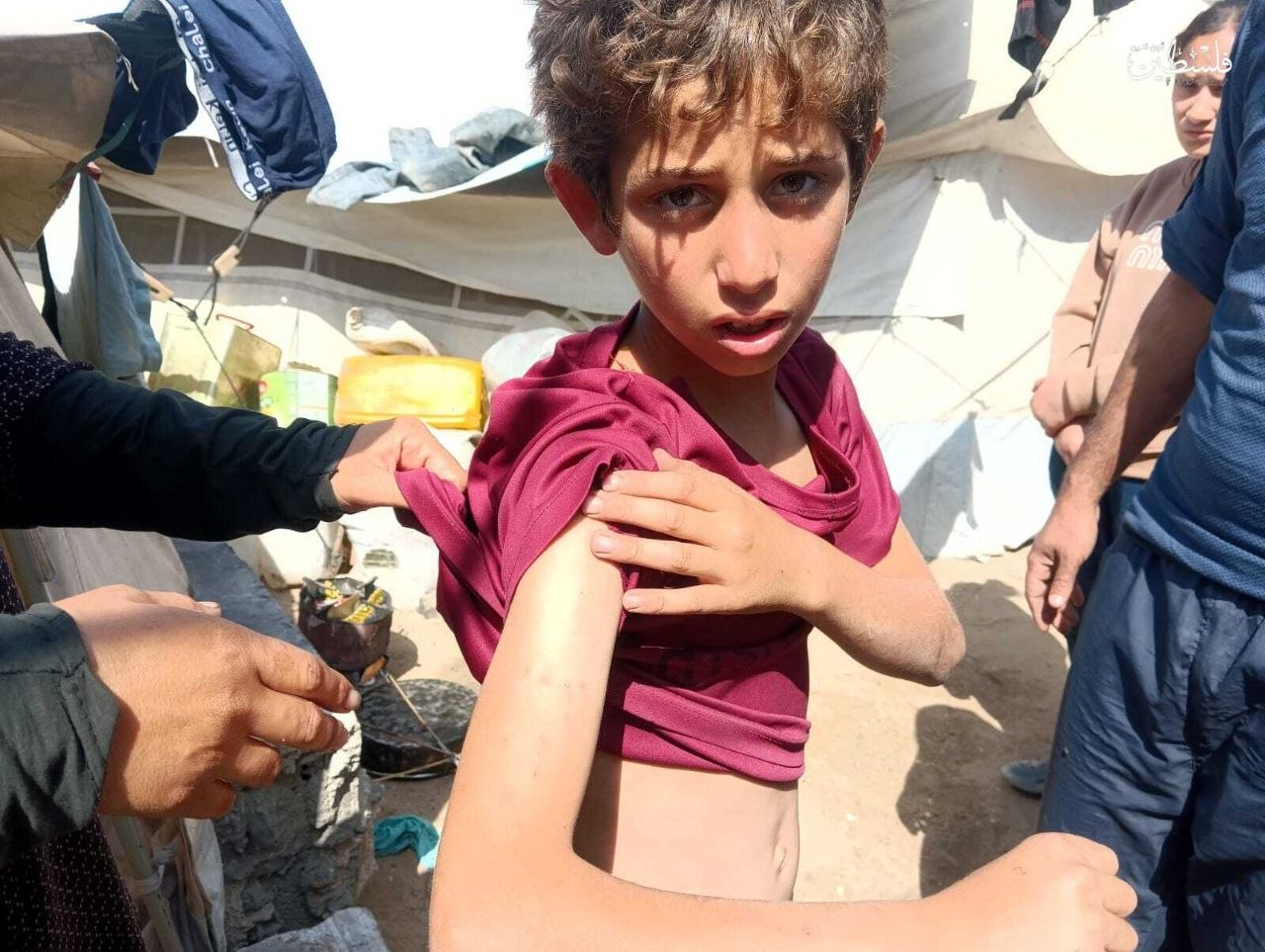 photo_2026-04-21_13-28-20 (2).jpg