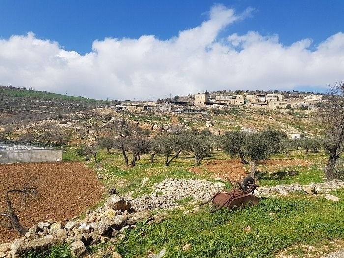 6003837949205744746 (1).jpg