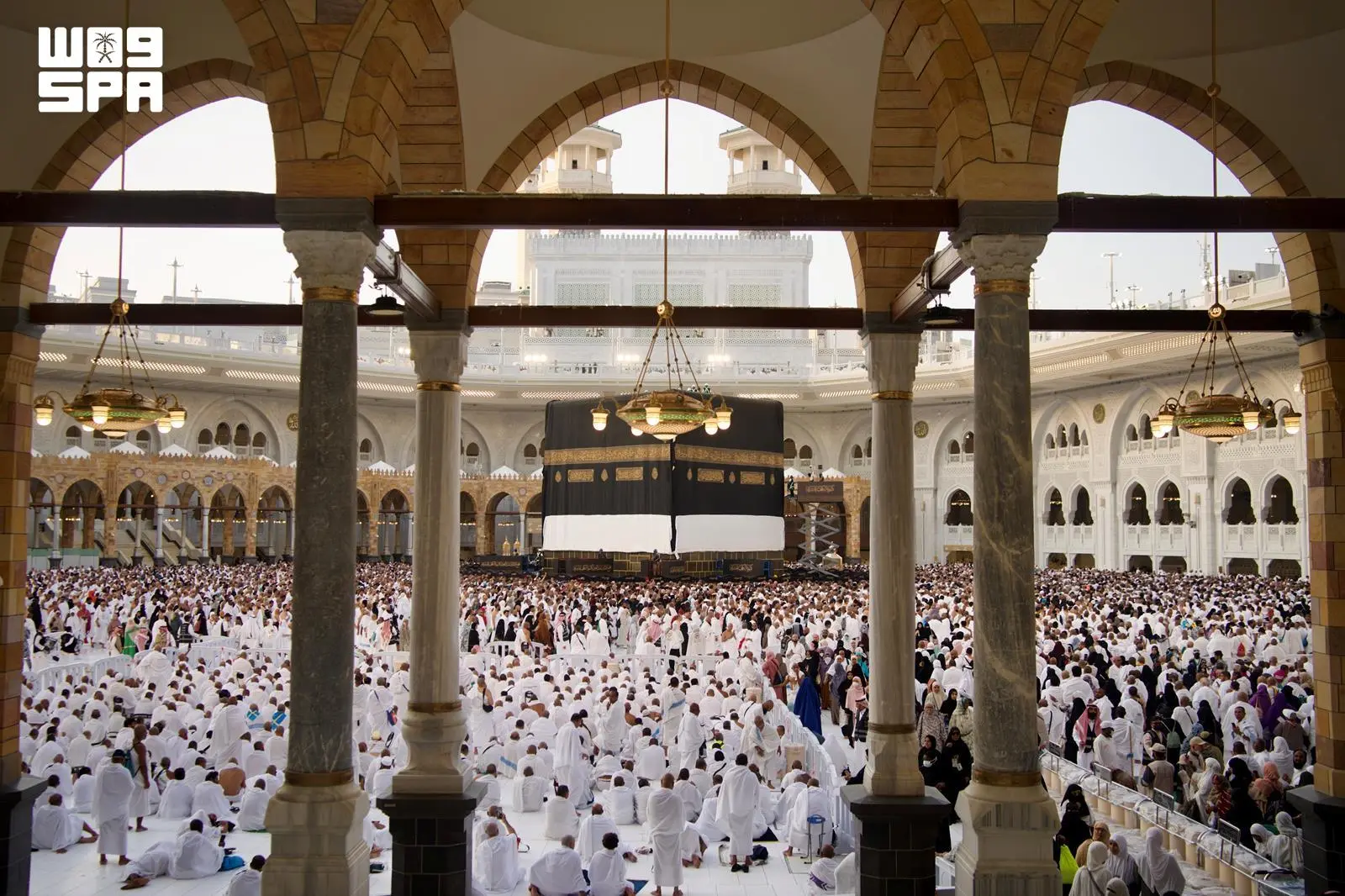 F10244092.webp