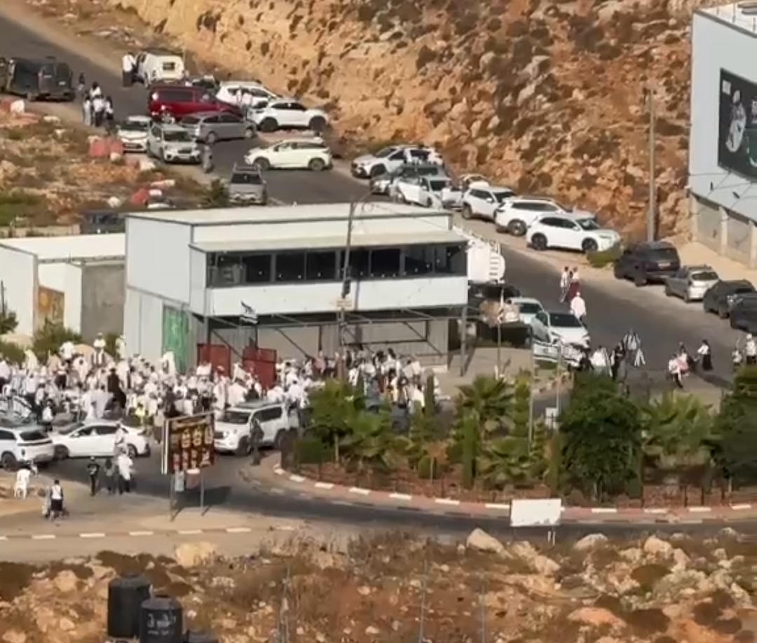 بيتونيا.jfif-9f9ac7ba-058f-4f20-9080-b9cddea50571.jpg