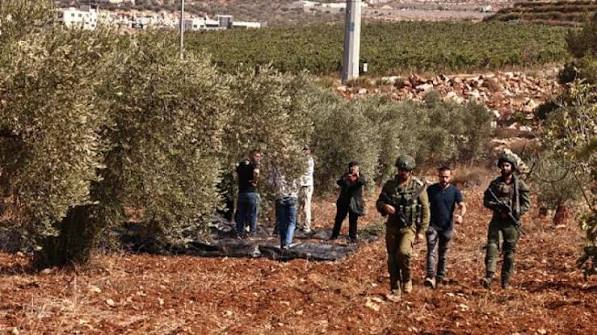 بطاركة القدس: اعتداءات المستوطنين على قاطفي الزيتون تستوجب المحاسبة الدولية